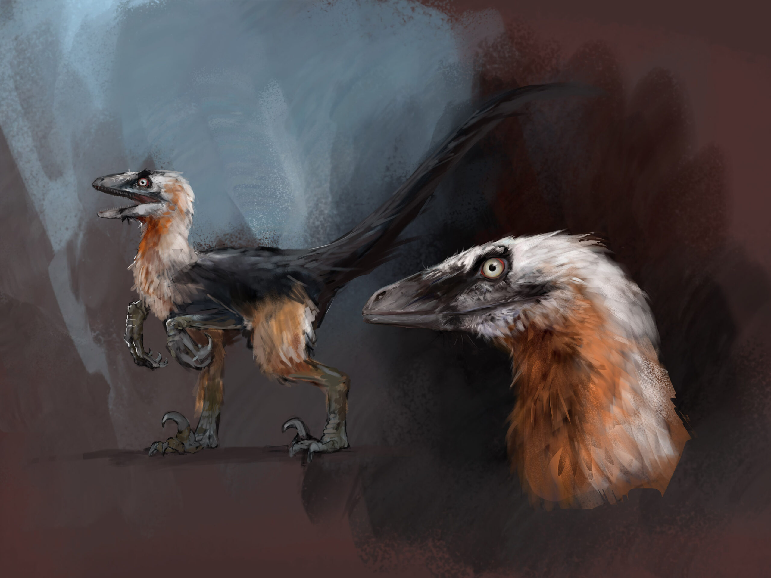 Bearded Raptor